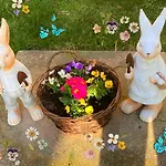 Landhauswohnung Am Thueringer - Fuehlen Zuhause Apartman *